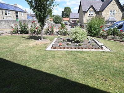 Picture 41